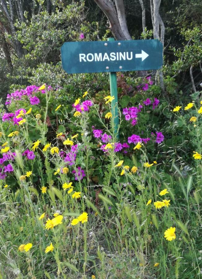 Domus De Janas Villa Costa Paradiso Eksteriør billede